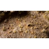 Gamers Grass Beige – 2 mm (Tiny) | 500 miniaturowych kępek beżowej trawy